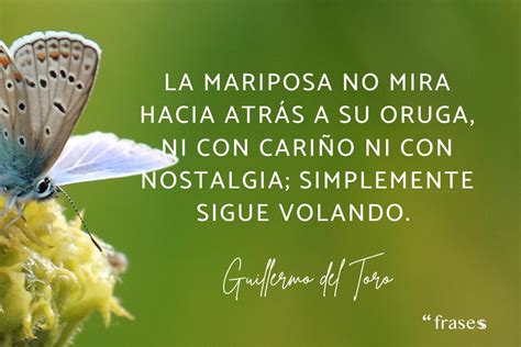 frases de mariposas para reflexionar|el cambio de la mariposa.